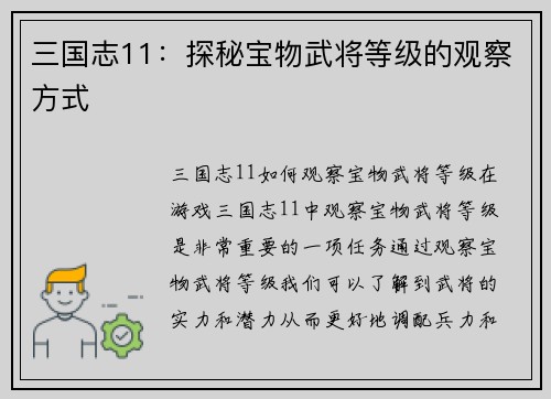 三国志11：探秘宝物武将等级的观察方式